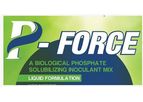 Model P - FORCE - Phosphate Solubilizing Microbes