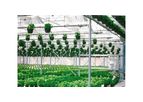Artigianfer - Model SFC - Glass Greenhouses