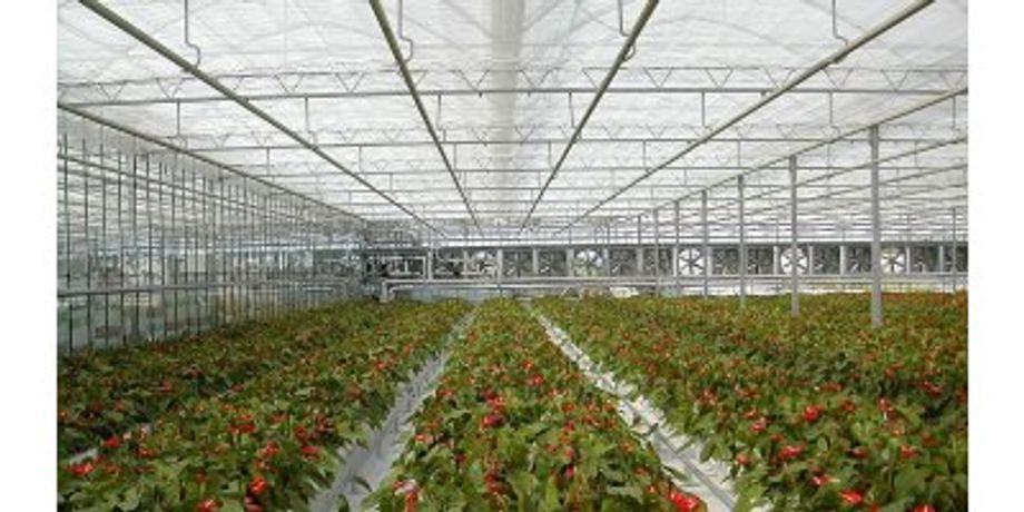 Termolux - Model HT - Film Covered Greenhouses