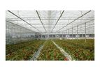 Termolux - Model HT - Film Covered Greenhouses