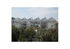 Artigianfer - Model STO - Glass Greenhouses