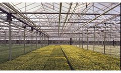 Venlo - Glass Greenhouses