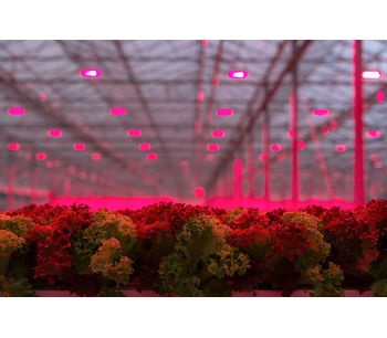 Oreon - Water Cooled LED Grow Light Fixtures for Vegetables