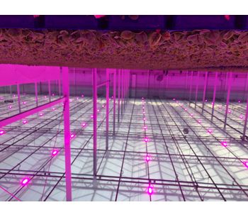 Water Cooled LED Grow Light Fixtures for Vegetables-2
