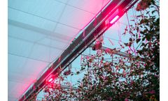 Oreon - Tomato and cucumber LED Grow Lights for horticulture
