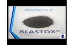 Abrasive Blasting Lead Paint Abatement Using Blastox