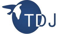 The TDJ Group, Inc