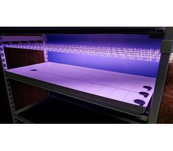 Horti Innovations - Model 60x3mm - 1015-1015 - White Grow Water Trays