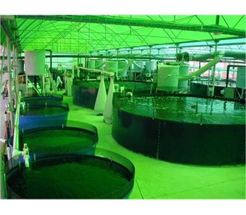 Recirculating Aquaculture System (RAS)