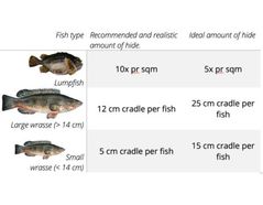 How to Calculate the Correct Amount of Hides for Cleaning Fish