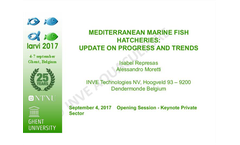 Progress and Trends in Mediterranean Marine Fish Hatcheries Brochure