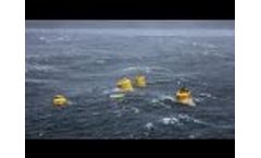 Albatern Squid in Action Dec2014 - 1 Min Cut Video