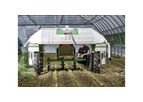 Dino - Large-Scale Vegetable Weeding Robot