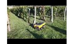 Vitirover working in a vineyard