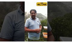 Hectare Solar Trap - Video