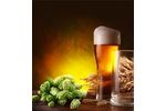 Nitrogen Generators for Beer - Food and Beverage