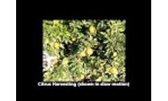 Robotic Citrus Harvesting Video