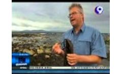 Stefan Kraan of Ocean Harvest Technology on 9TV Nightly News/CNN Philippines Video