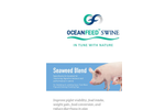 OceanFeed - Model Swine - Seaweed Blend - Brochure