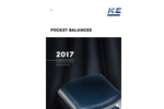 Pocket Balances Brochure