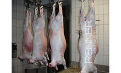 Renner - Sheep Slaughtering Systems