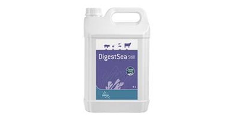 Digestsea - Improving Digestion Feed