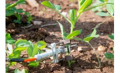 By September 2021, SupPlant`s sensor-less technology will be implemented by 500,000 farmers in Kenya
