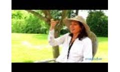 Amy Grant and Drinkable Air - Video