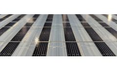 MorganSolar SimbaX - Concentrated Light Technology for Utility Solar Panels