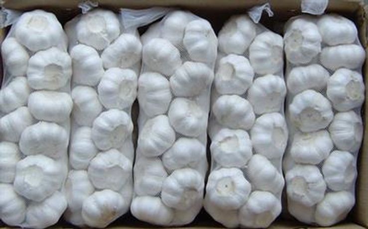 Pure White and White Garlic-1