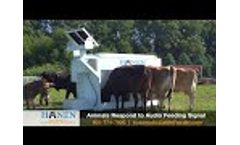 Hanen Automatic Cattle & Livestock Feeders