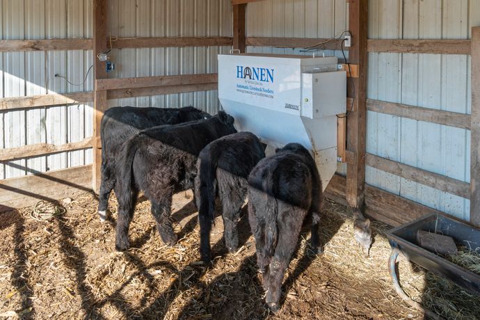 Hanen - Model LSF-4 - Automatic Cattle and Livestock Feeder