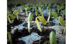 Advantages of heating mats in seed germination