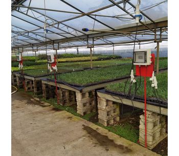 PROPAGATION OF CUTTINGS USING EH-POWERGROUND ELECTRIC HEATING MATS