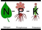 Planta - Model NPK - NPK water soluble