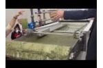EWS Algae A60: High-Speed, Chemical-Free Algae Harvesting Video