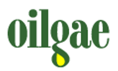 Algae Wastewater Treatment Consulting Assistance from Oilgae