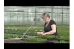Growcoon Case | Amigo Plant | Succulents | Best Solution for Succulents Video