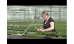 Growcoon Case | Amigo Plant | Succulents | Best Solution for Succulents Video