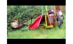 Plum Harvesting, Serbia 2016 Video