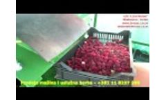 Harvesting Machine for Red Currant, Aronia, Rosehip & Raspberry Video