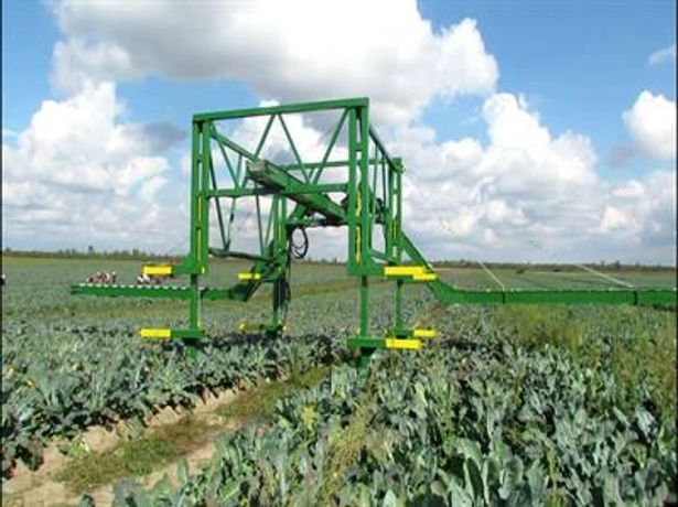 Elektronik - Vegetable Harvesting Conveyor Belts