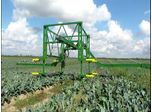 Vegetable Harvesting Conveyor Belts