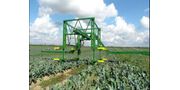 Vegetable Harvesting Conveyor Belts