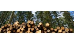 Optimal Growing Media for Forestry