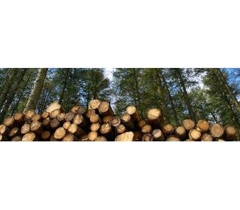 Optimal Growing Media for Forestry - Agriculture - Forestry