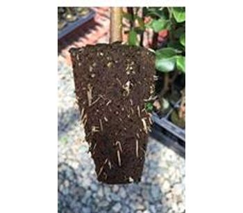 FlexiPlugs - Stabilized Peat Plugs for Professional Grower