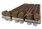 FlexiTrays - Stabilized Propagation Trays for Professional Grower