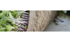 BioStrate - Microgreen Biobased Textile Absorbs and Retains