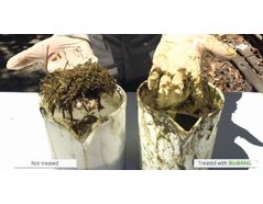 Pic 3. Visual effect: Left, raw grass clippings; Right, grass clippings after BioBANG’s cavitation.
